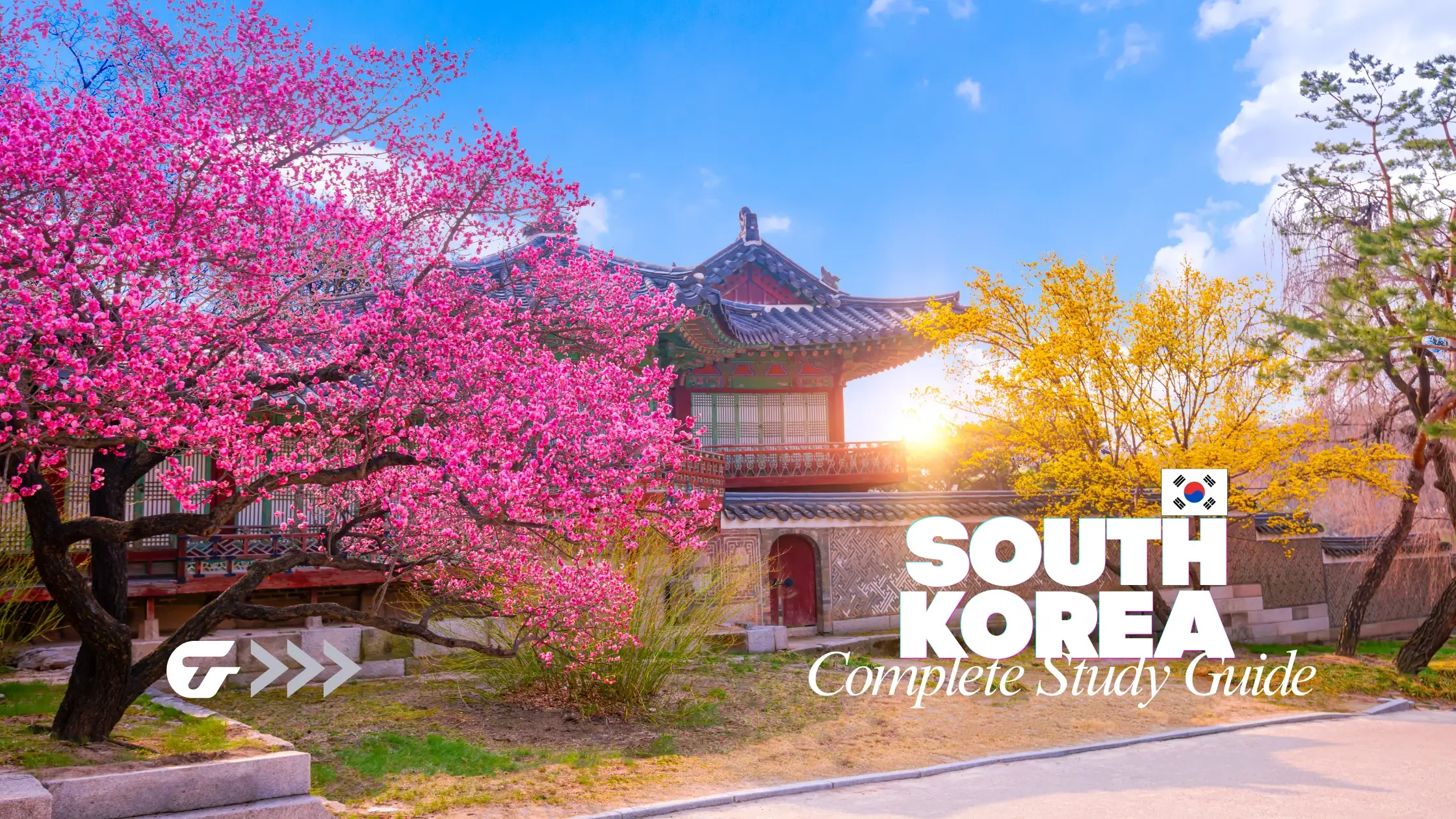 South Korea Student Visa Guide for Bangladeshi students